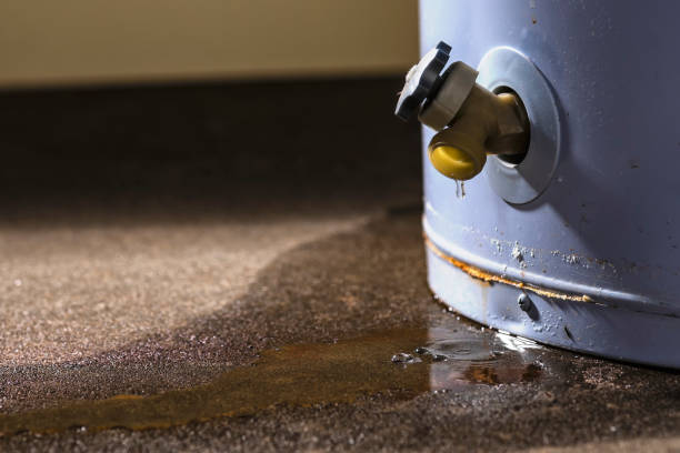 Carpet water damage restoration in Philadelphia, PA