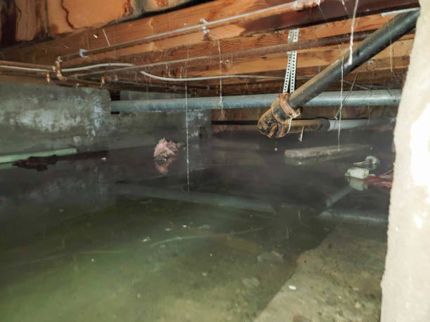 Best Water damage restoration near me  in Philadelphia, PA