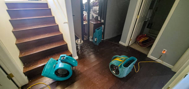 Best Local water damage restoration  in Philadelphia, PA