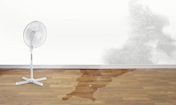 Best Commercial water damage restoration  in Philadelphia, PA