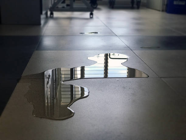 Philadelphia, PA Water damage restoration Company