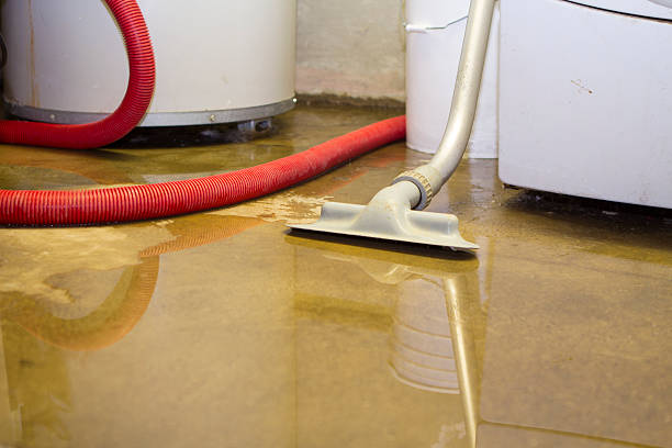 Best Water damage restoration near me  in Philadelphia, PA