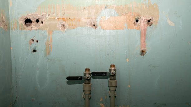 Best Water damage contractors near me  in Philadelphia, PA