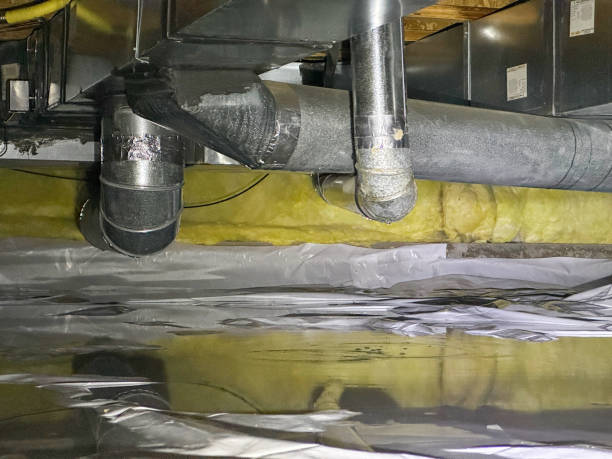 Best Water damage restoration specialists  in Philadelphia, PA