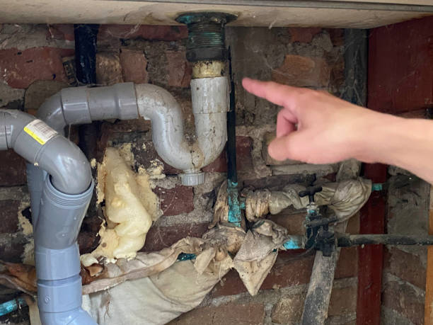 Best Water damage restoration insurance claims  in Philadelphia, PA
