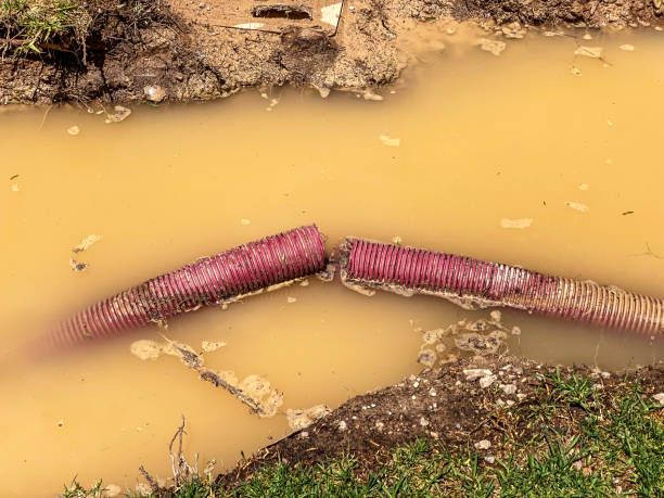 Best Water damage contractors near me  in Philadelphia, PA